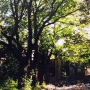 Budynek Administarcji, Biuro, Mieszkanie I dyrektora cementowni Grodziec