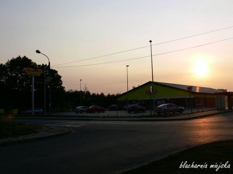 Biedronka Zamkowe