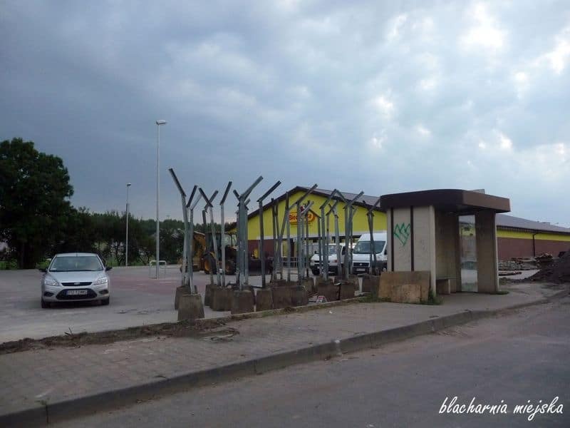 Biedronka Zamkowe
